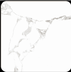 Floor Tile Fiore White 600X600MM Glossy - Varmora