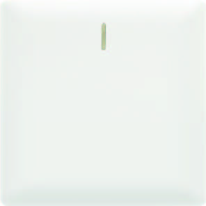 EliteElegance-Plate Switch+Neon 91302EFQ  - 10A, 1 Gang 2 Way, White 
