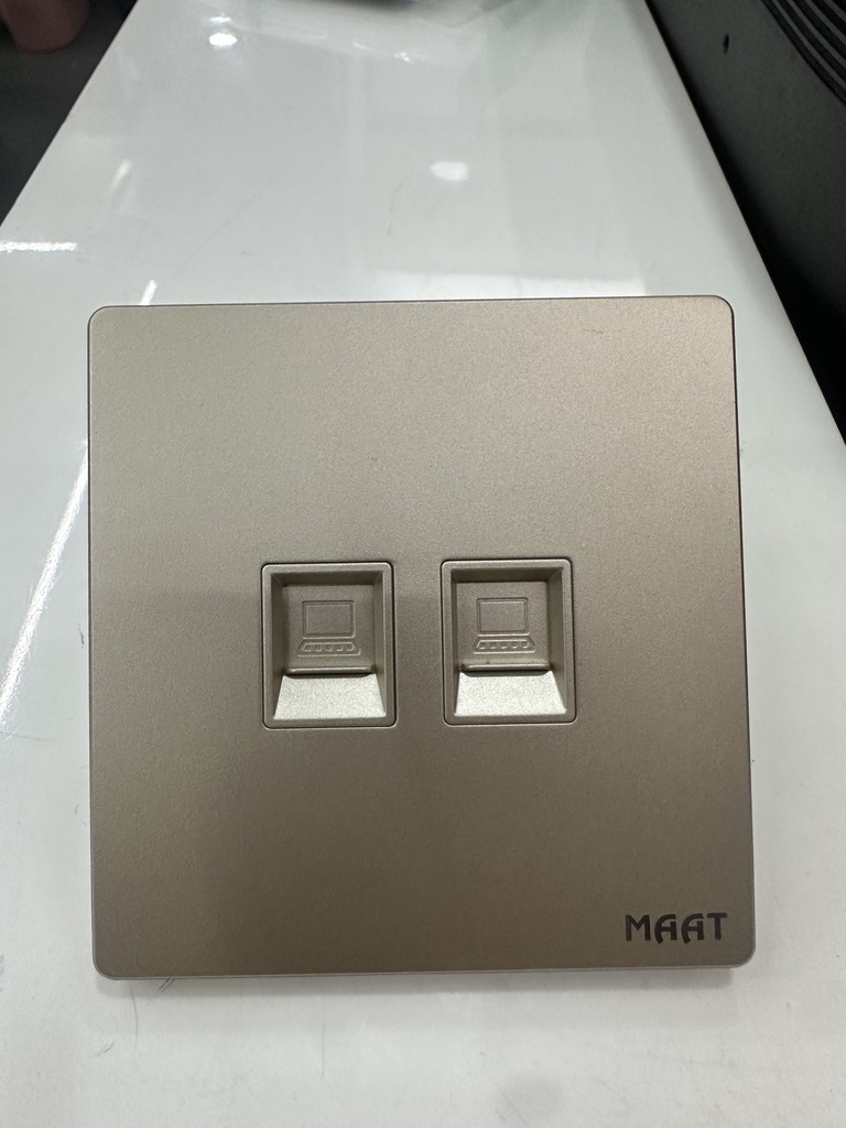 2 GANG DATA SOCKET  GOLD PLATED  SWS2-QG-001
Box Code: Q5CDN2-6