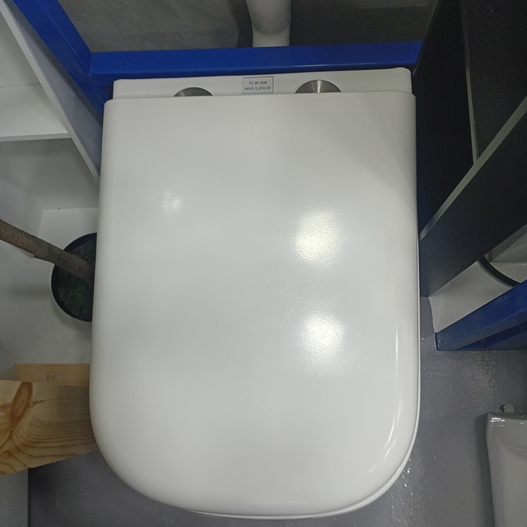 P-trap ,180mm  washdown wall-hung toilet（UF  seat cover)
585*380*330  white
Box Code: 2303