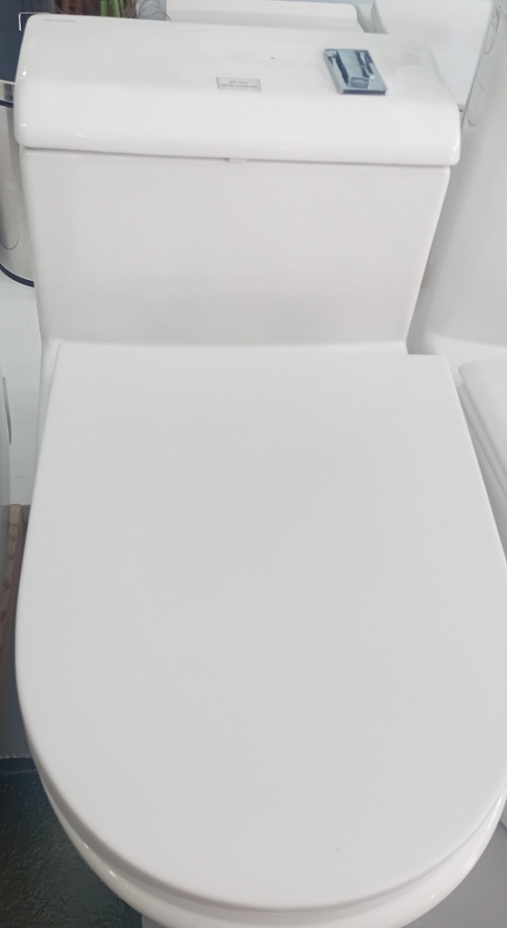 Toilet Seat T-819# Size:720*390*650S-trap: roughing-in 300mm