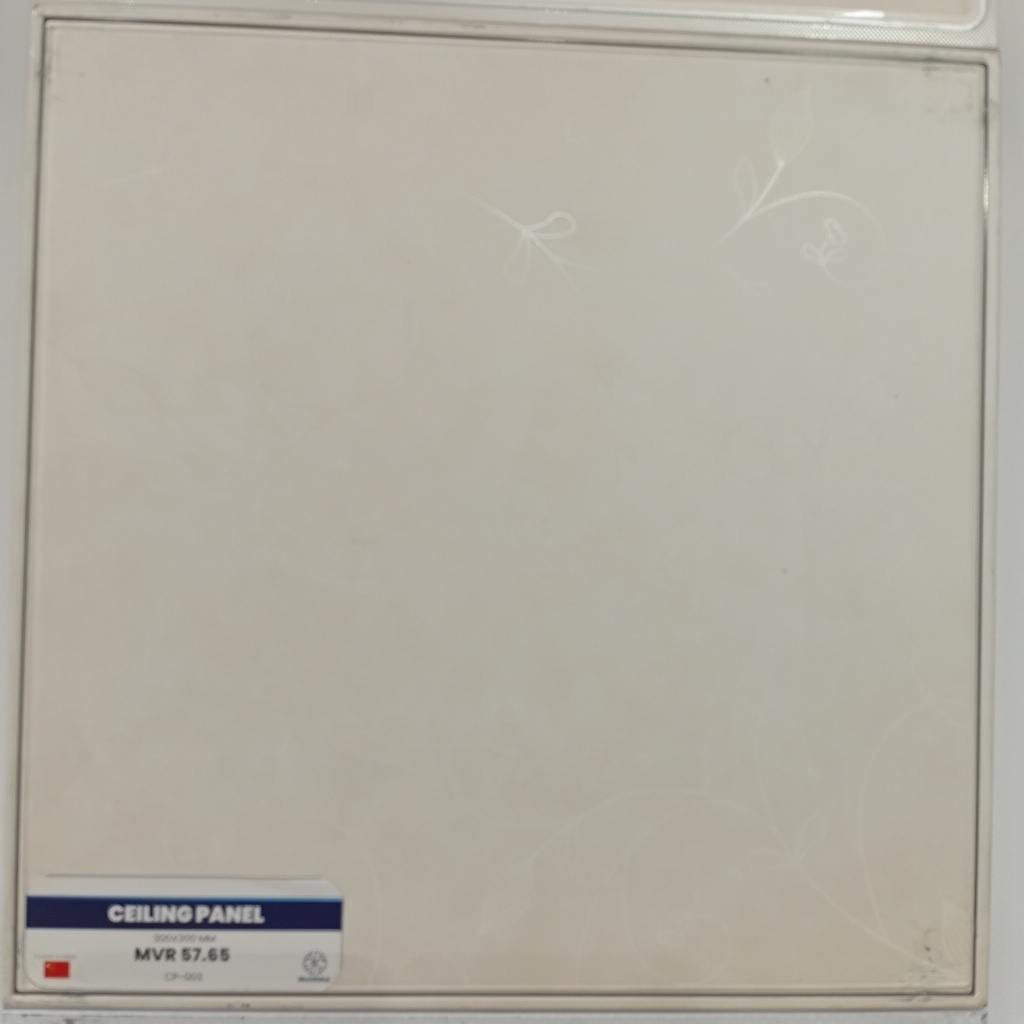 CEILING PANEL   CP-003   300*300 mm
Box Code: CP-C-01