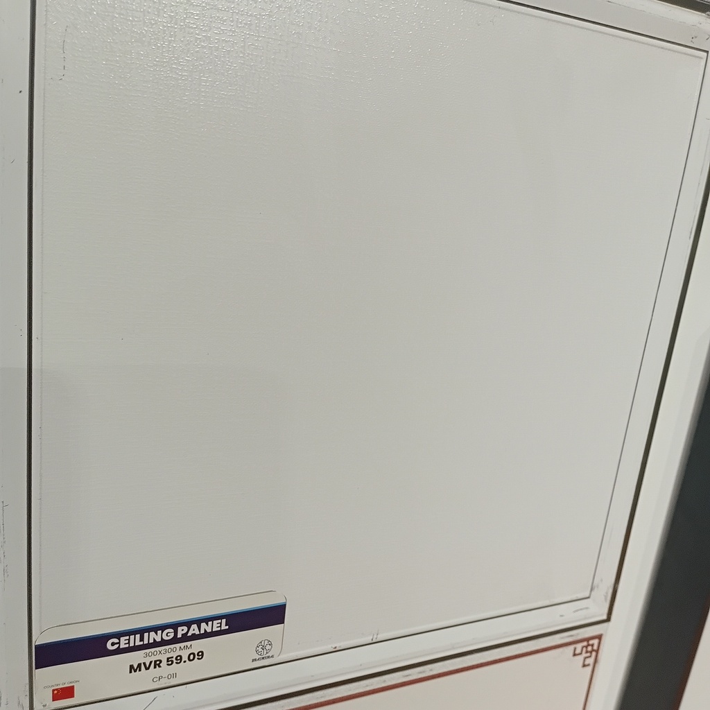 CEILING PANEL  CP-011  300*300 MM
Box Code: CP-W-06