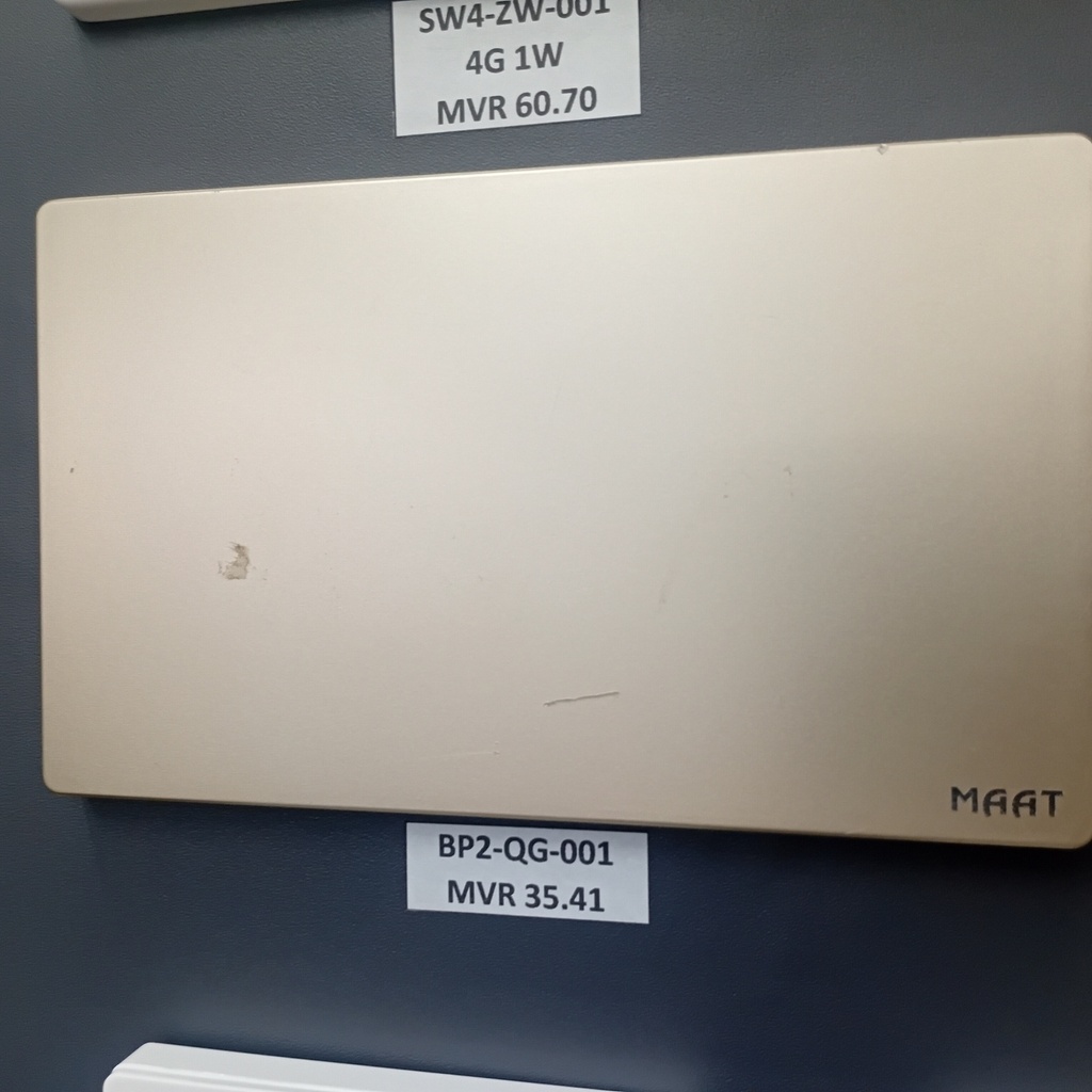 2 GANG 3X6 BLANK PLATE GOLD  
Box Code: Q5C2K/3F-2D-13