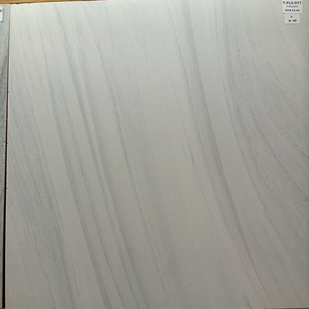 MATT  TILES T-FL2-017 -600*600