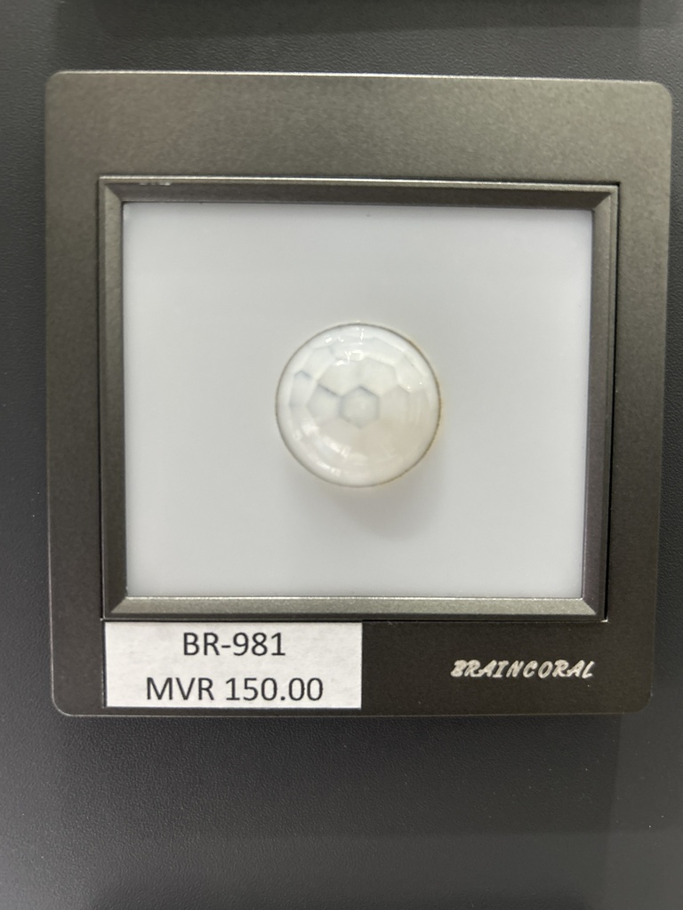 Foot Light - With Sensor, AC220V/50HZ,  Power 0.8W, Grey  MRT203-M50G 86X89mm  18RMB  sensor Tempered  glass