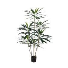 green velvet   160cm