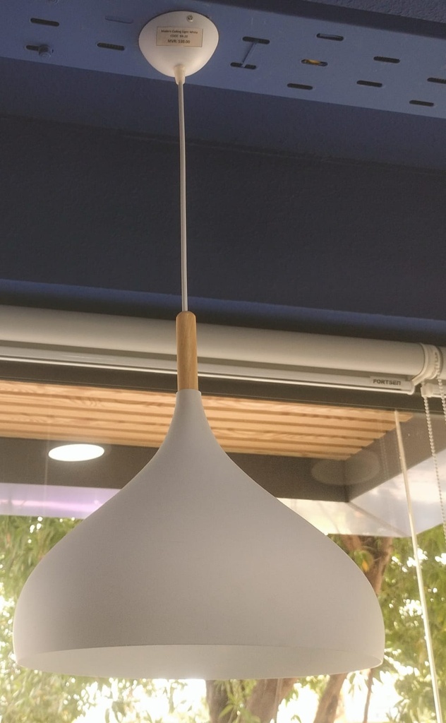 KITCHEN LIGHT Dia: 330mm Material: iron Line: 1.5Mwhite Box Code:  A2-6