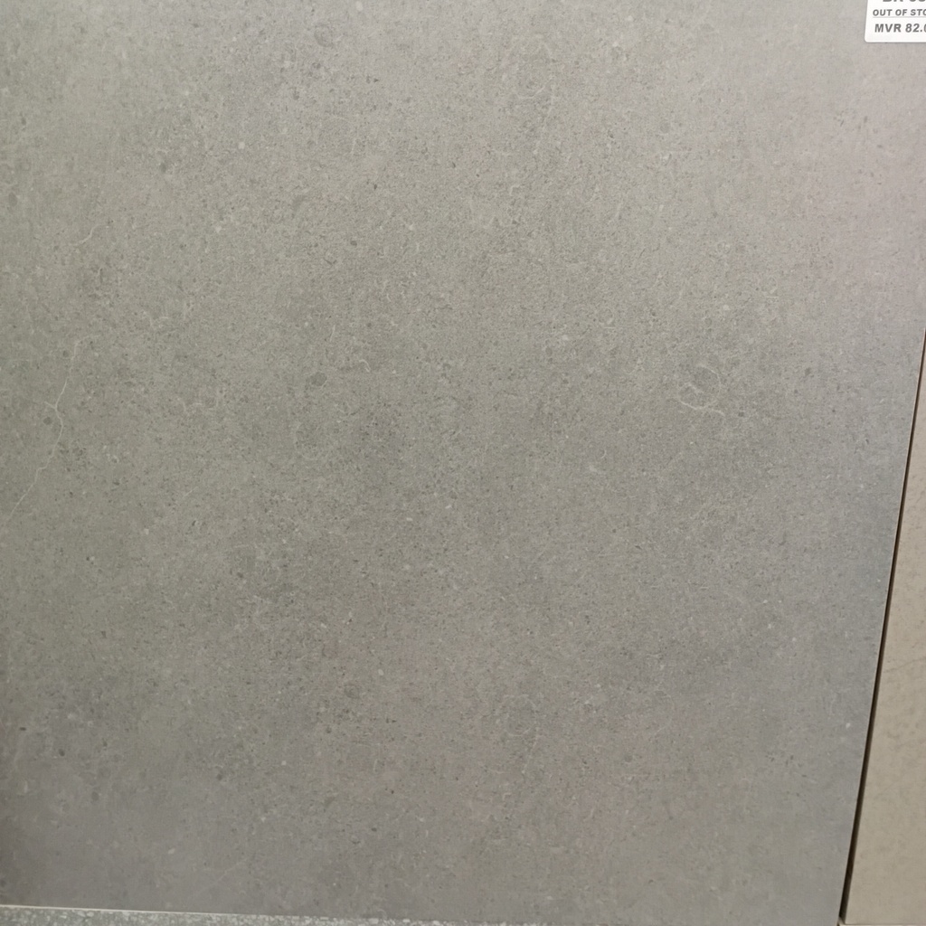 Tiles - Porcelain Spotted Body, 6008600 (2 Silver 600)