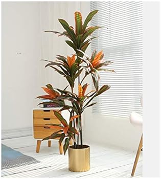 Red edged iron150cm