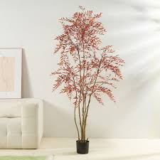 Red South Tianzhu 180cm