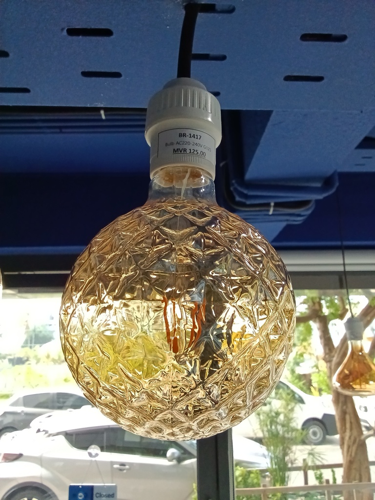 Bulb AC220-240V G125