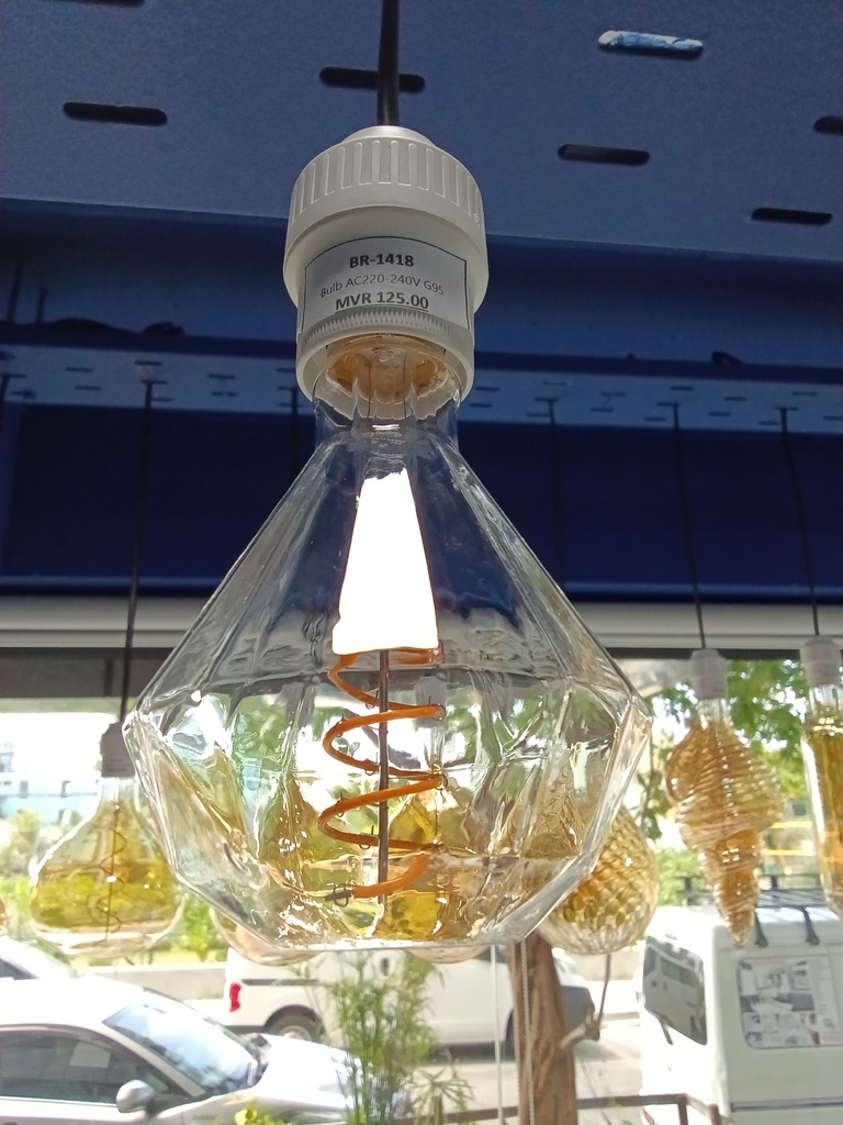 Bulb AC220-240V G95