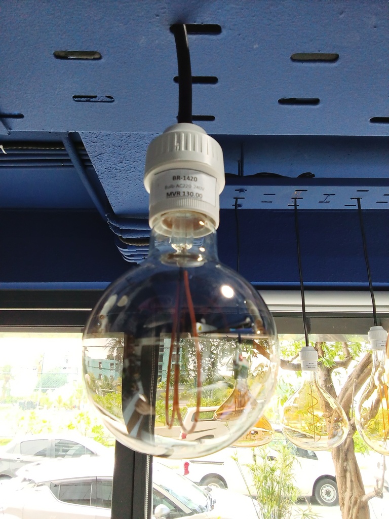 Bulb AC220-240V
