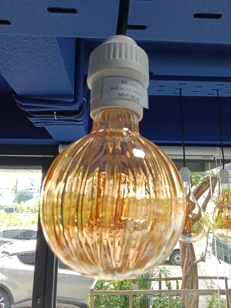 Bulb AC220-240V  G95