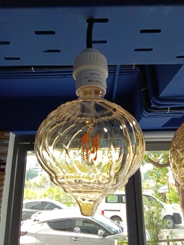 Bulb AC220-240V G113