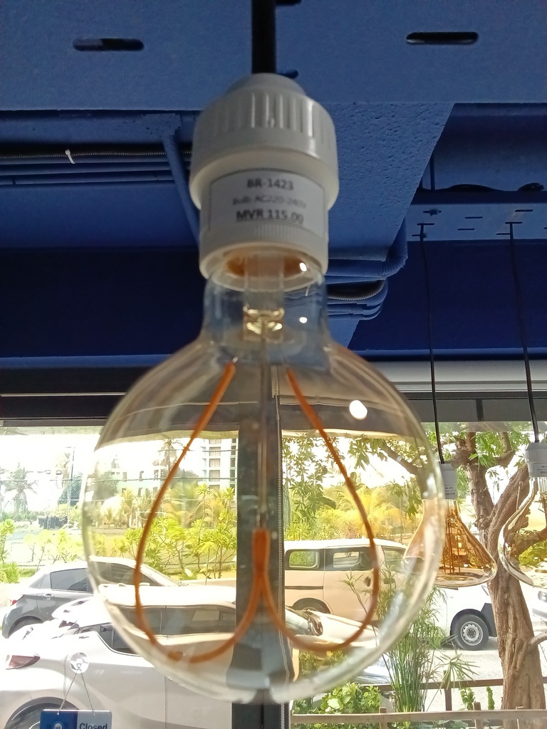 Bulb AC220-240V
