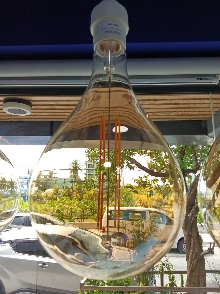 Bulb AC220-240V A165