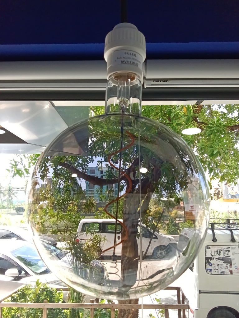 Bulb AC220-240V G180