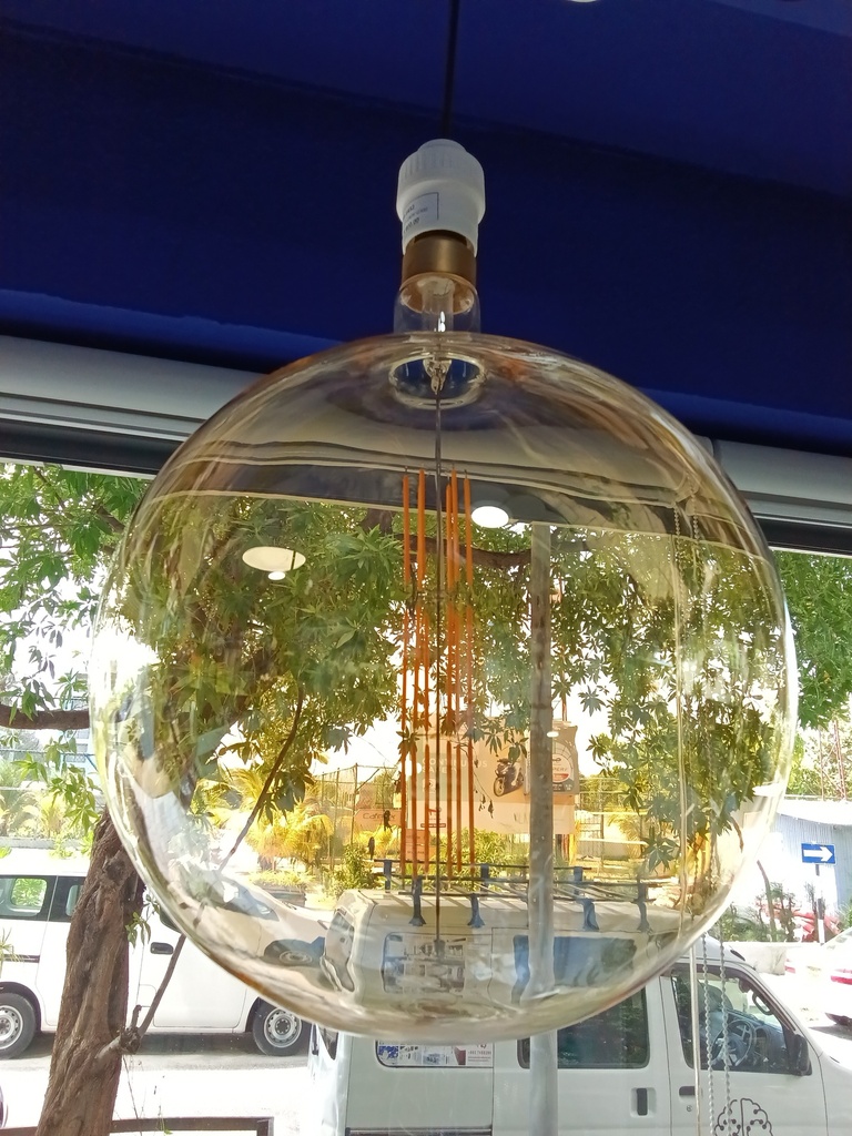 Bulb AC220-240V G300