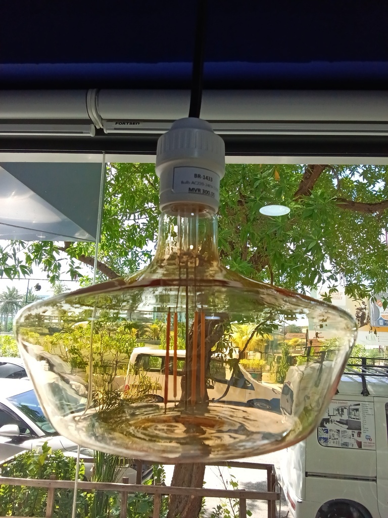 Bulb AC220-240V G200