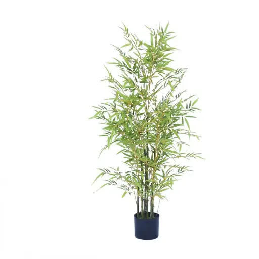 [BR-874] bamboo potted plant  150cm+5 strokes