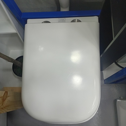 [TS-W-008] P-trap ,180mm  washdown wall-hung toilet（UF  seat cover)
585*380*330  white
Box Code: 2303