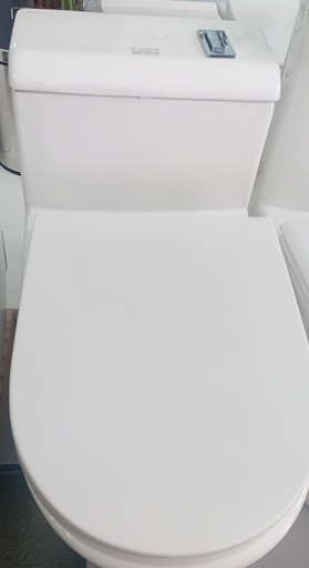 [BR-361] Toilet Seat T-819# Size:720*390*650S-trap: roughing-in 300mm