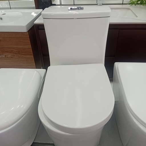 [BR-364] Toilet Seat 9262# Size:600*350*720S-trap: roughing-in 300mm