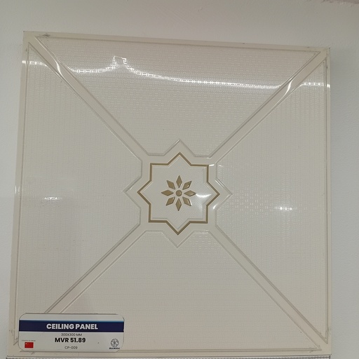 [CP-009] CEILING PANEL  CP-009  300*300 MM
Box Code: CP-C-03