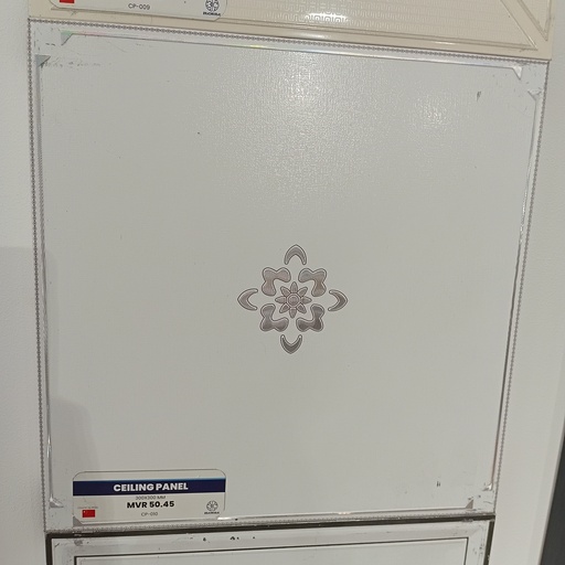 [CP-010] CEILING PANEL  CP-010  300*300 MM
Box Code: CP-W-05