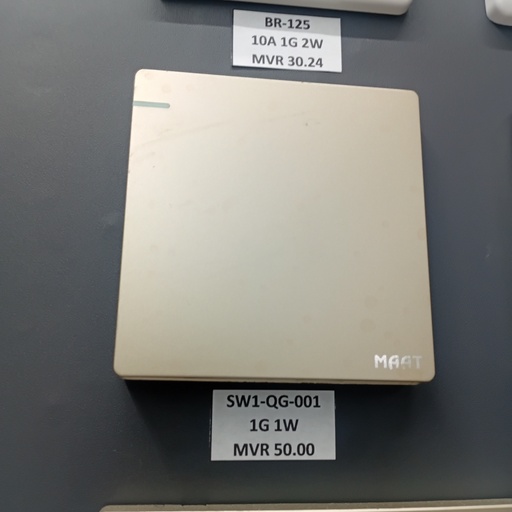 [SW2-QG-001] 2GANG 1WAY SWITCH  GOLD
Box Code: Q5C2Q/1Y