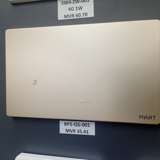 [BP2-QG-001] 2 GANG 3X6 BLANK PLATE GOLD  
Box Code: Q5C2K/3F-2D-13