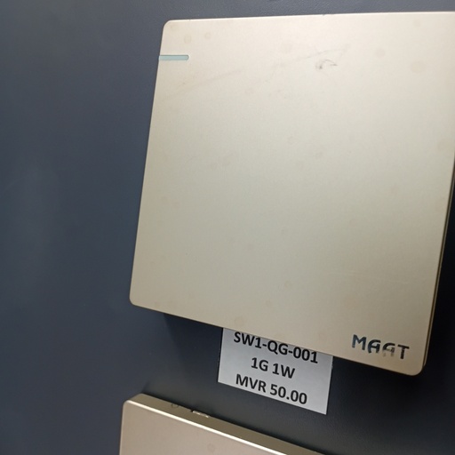 [SW1-QG-001] 1GANG 1WAY SWITCH GOLD PLATE
Box Code: Q5C1Q/1Y