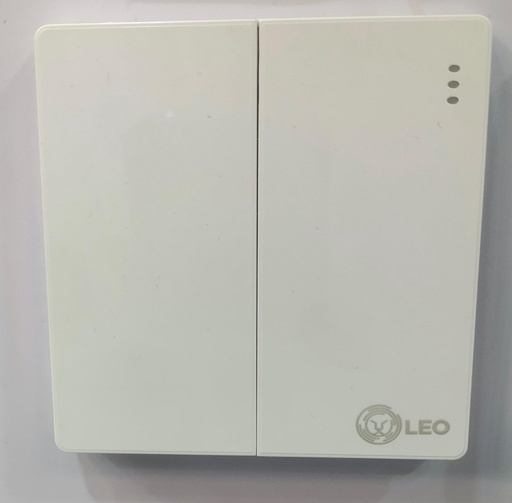 [BR-177] Switch - 2gang 1way D1003 86x86mm 16A250V
