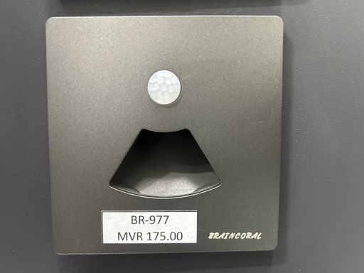 [BR-977] Foot Light - With Sensor, AC220V/50HZ,  Power 0.8W, White  MRTR-M90 86X89mm  20RMB  sensor Tempered  glass