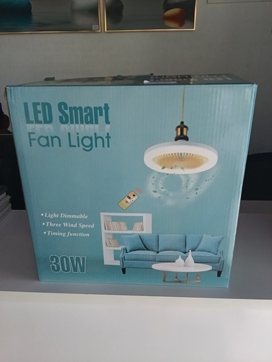 [BR-1066] Light WSFS-260  30W - Remote Control