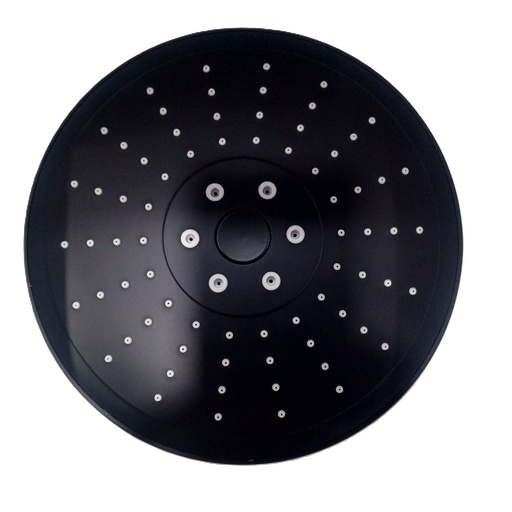 [BR-926] Overhead shower, ZW316 black matte,