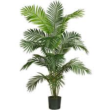 [BR-868] Palm Tree 150cm