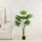 [BR-872] Tang palm sunflower  140cm