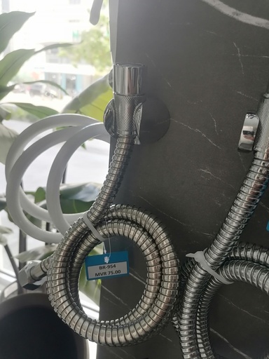[BR-954] Toilet Hand Bidet , SS 1.2 Meter Hose ZS01  