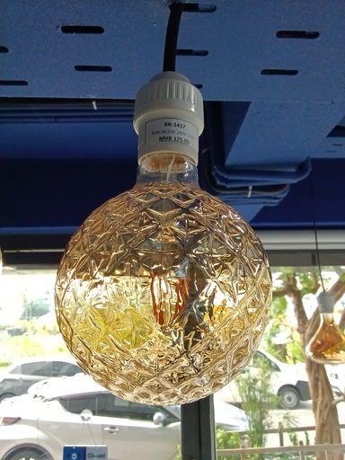 [BR-1417] Bulb AC220-240V G125