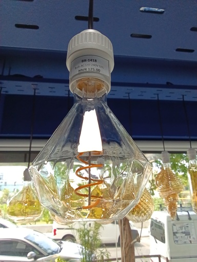 [BR-1418] Bulb AC220-240V G95
