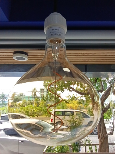 [BR-1427] Bulb AC220-240V R160
