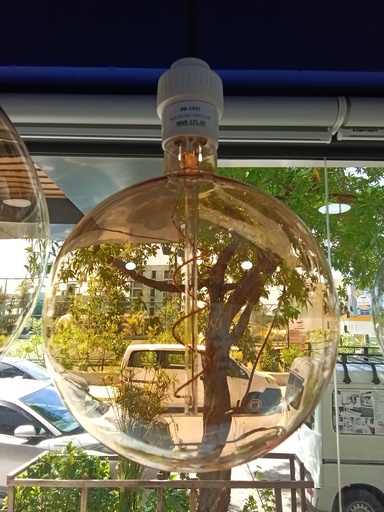 [BR-1435] Bulb AC220-240V G180