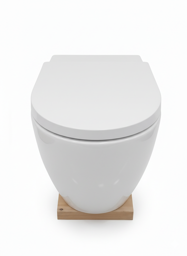 [BR-1692] Toilet Seat - Wall Hung Type, P-Trap 180MM, 3840, 490*360*365MM