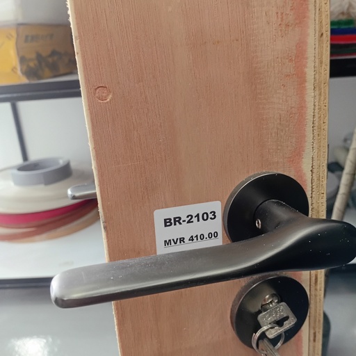 [BR-2103] Door Handle With Lock, AA94-137B#, GREY