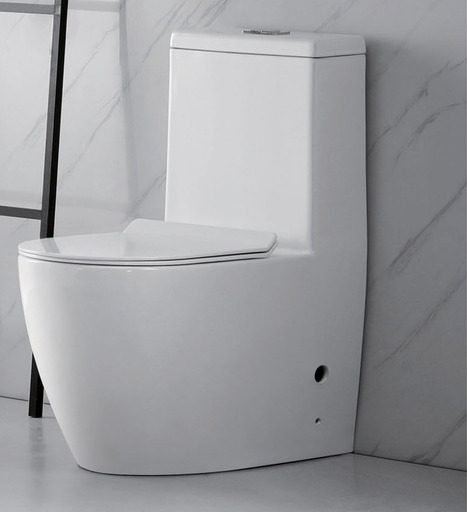[BR-2576] Toilet Seat With UF Cover T2075 680x370x800, S-trap 250mm Brand: Gafeel