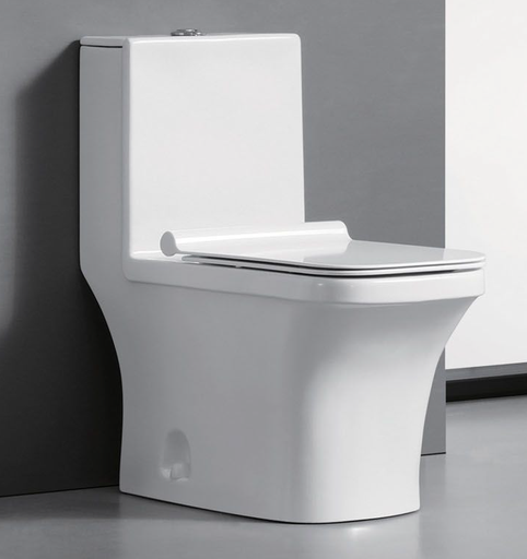 [BR-2577] Toilet Seat With UF Cover T2071 680x350x740, S-trap 250mm Brand: Gafeel