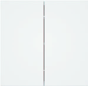 [BR-3092] EliteElegance-Plate Switch 41303E  - 10A, 2 Gang 1 Way, White 